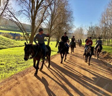 guests enjoying their horse trail with wine valley adventures