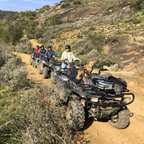 Quad Biking in Franschhoek Quad Biking in Franschhoek